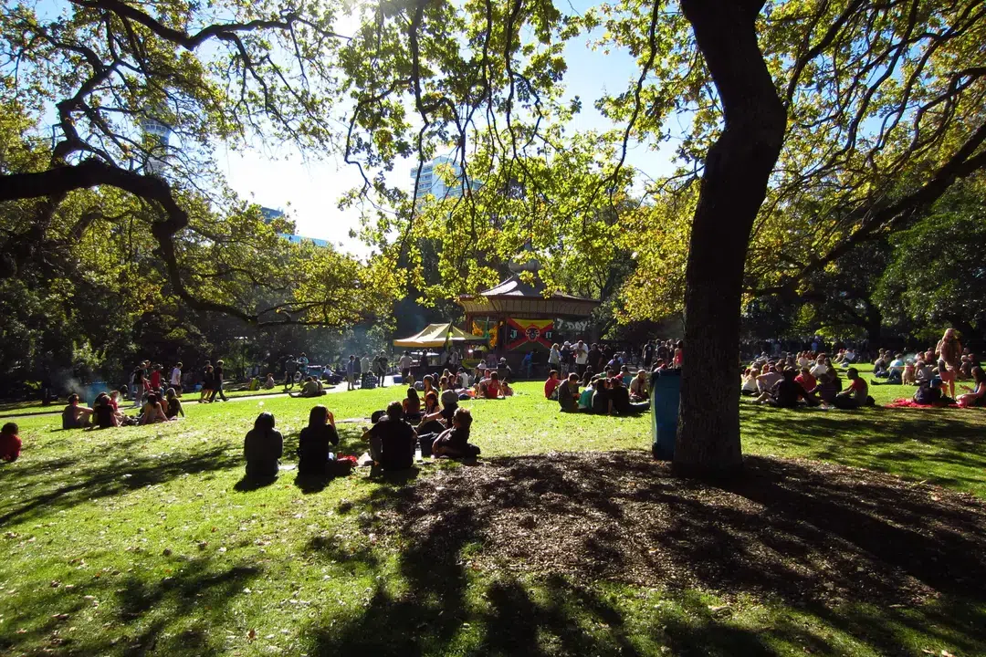 Public Wi-Fi in Your Backyard: What This Means for Mobile Bookings