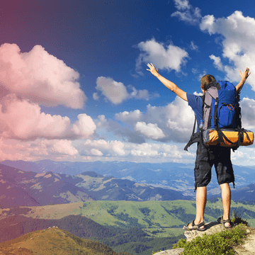 What is tour booking software?