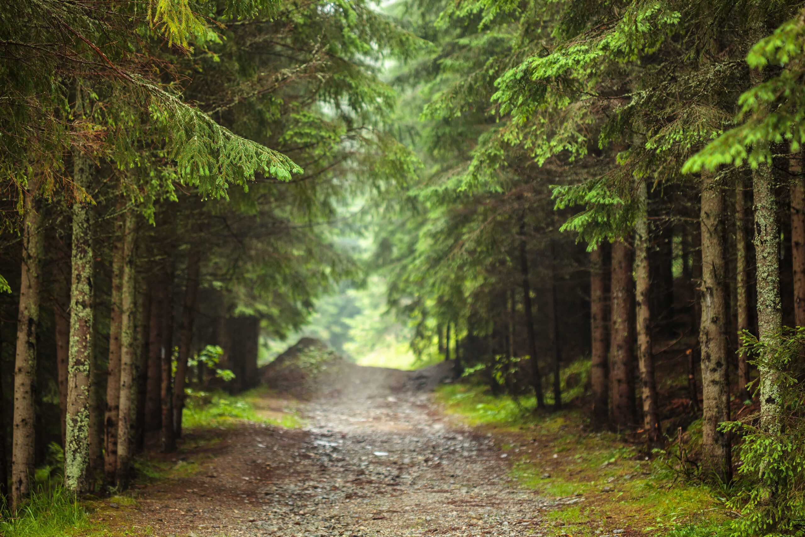 Challenge Course & Zipline Marketing 101: Creating Business Goals