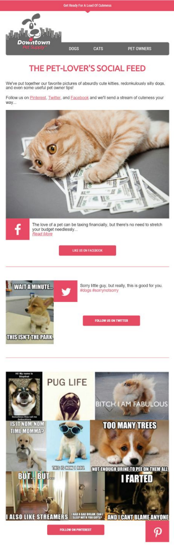 Example Social Feed Email