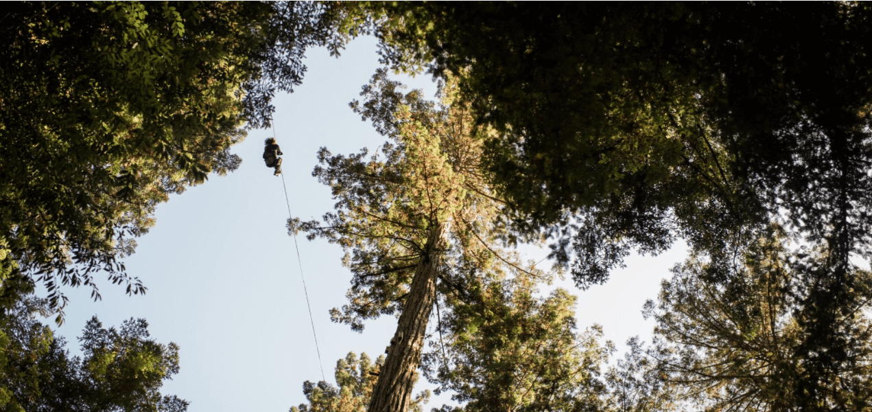 Sonoma Canopy Tours Hero Image