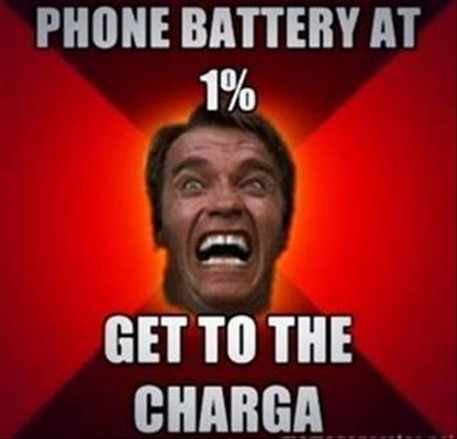 charger-schwarzenegger