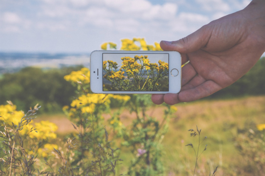 Easy Instagram Marketing & Advertising for Tour Operators