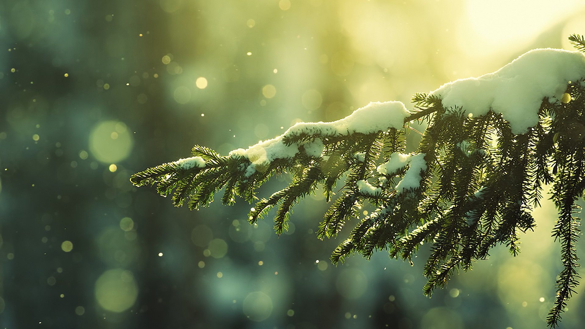 3 Things Tour Operators Need to Know About Gift Certificates