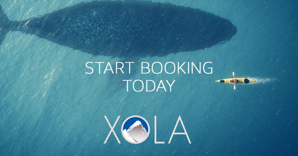 start-booking-today