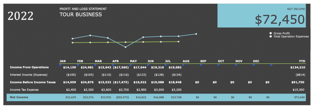 Profit and loss Statement for business example