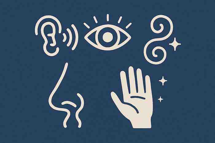 A comprehensive guide to sensory marketing and why it matters for tours and attractions